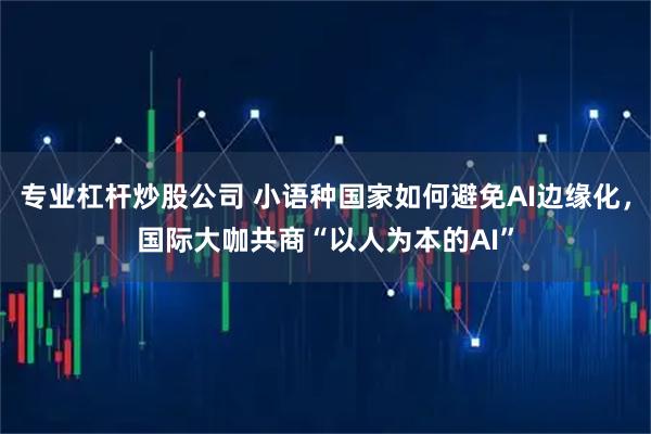 专业杠杆炒股公司 小语种国家如何避免AI边缘化，国际大咖共商“以人为本的AI”